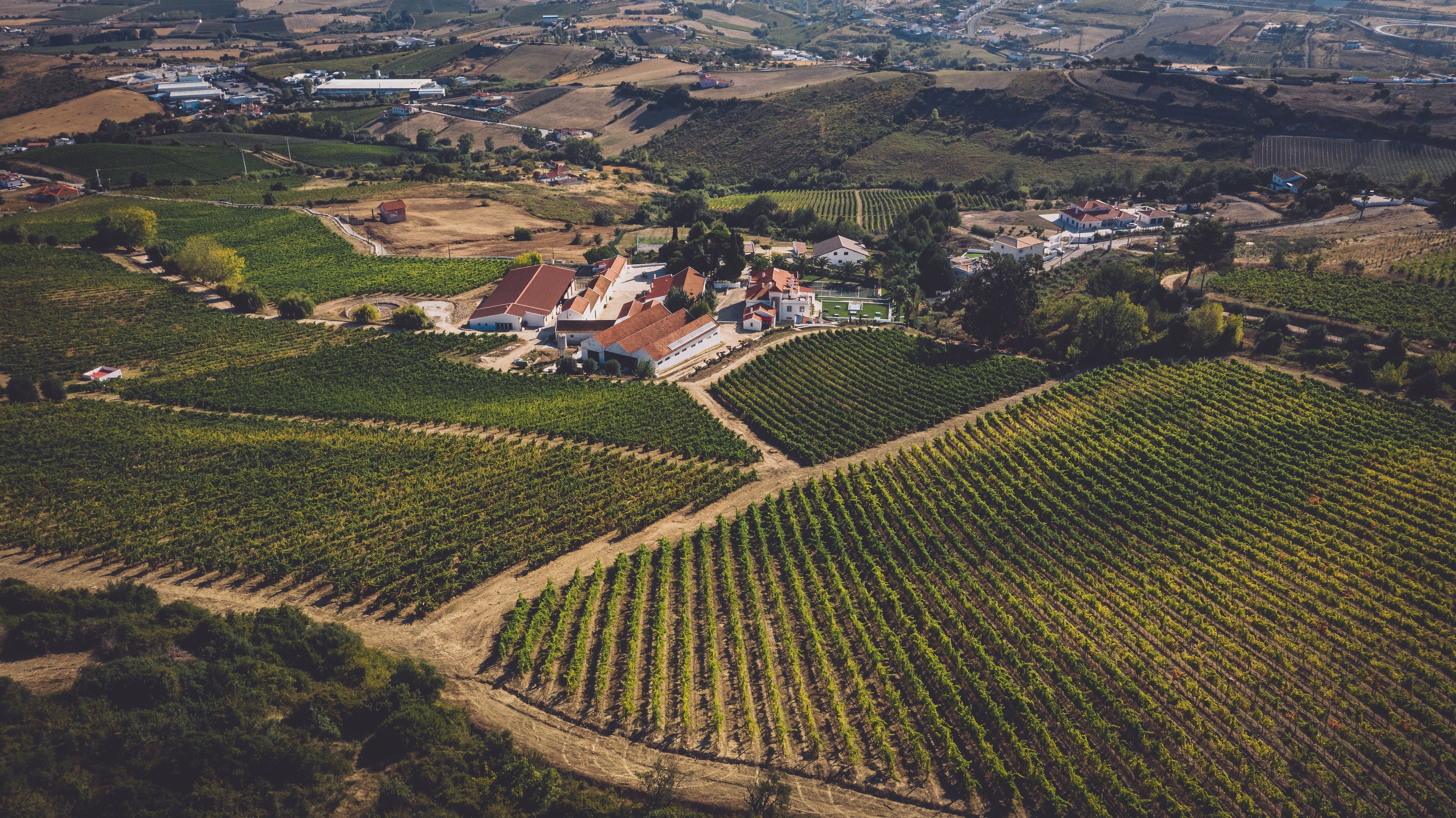 Portugiesische Weine