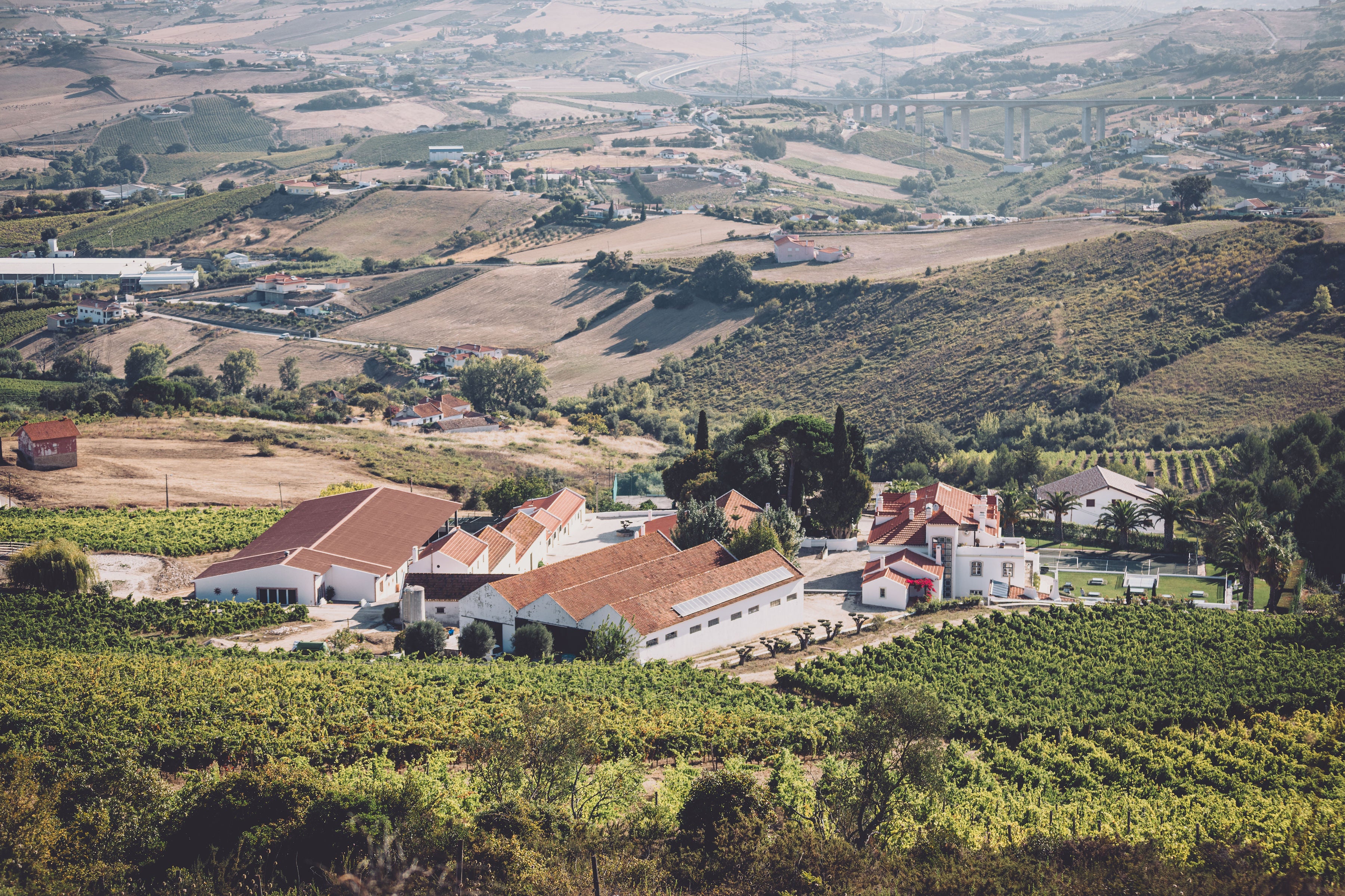 Wein- & Genussreise Nordportugal | 24. bis 29. August 2026