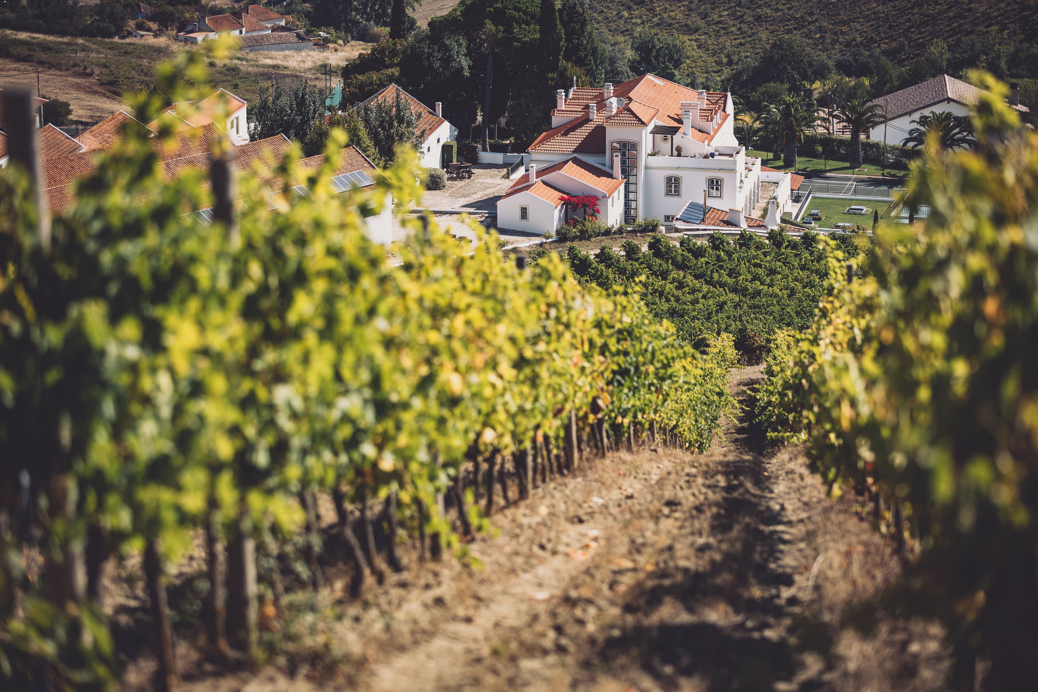 Wein- & Genussreise Nordportugal | 24. bis 29. August 2026
