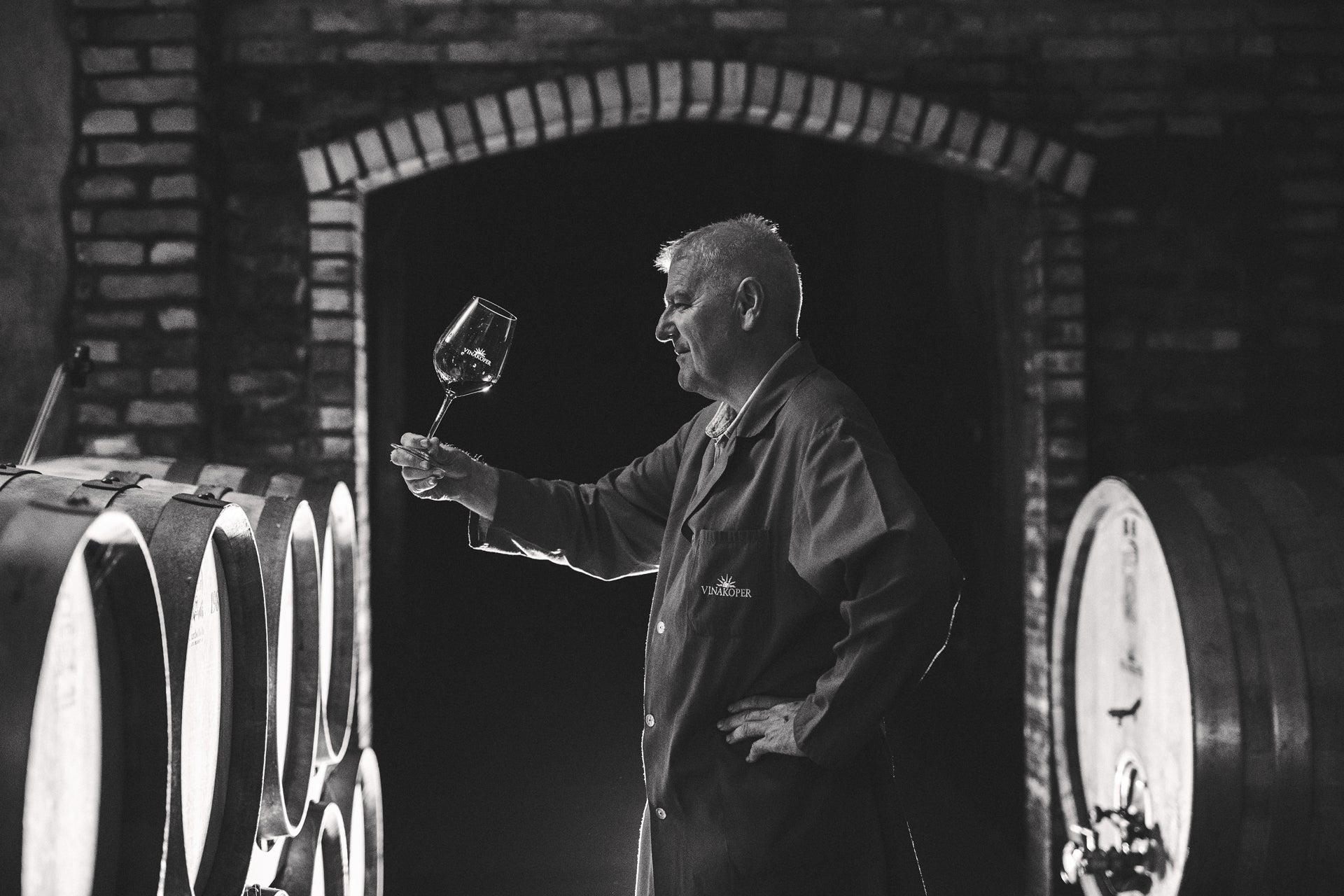 Vinakoper Capris Merlot