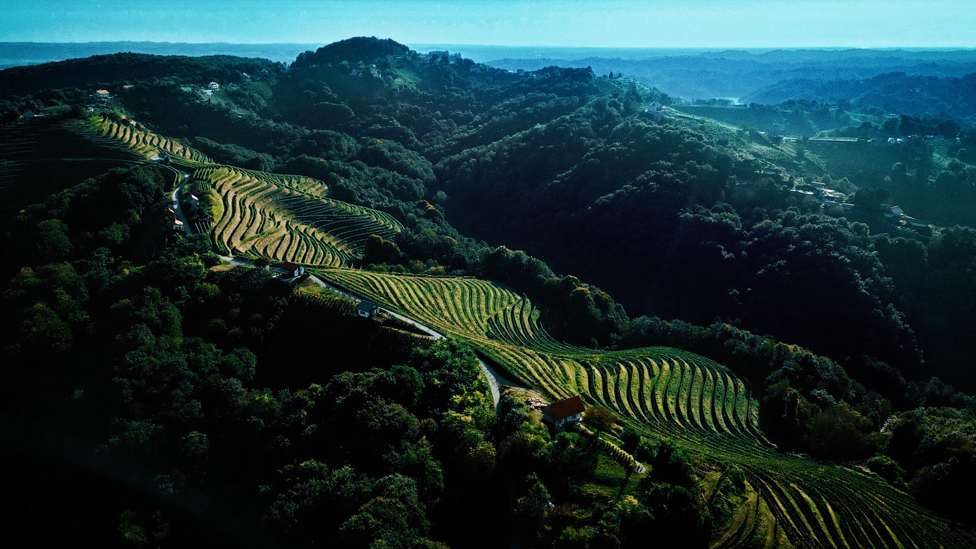Wein- & Genussreise Slowenien | 25. bis 30. Mai 2026