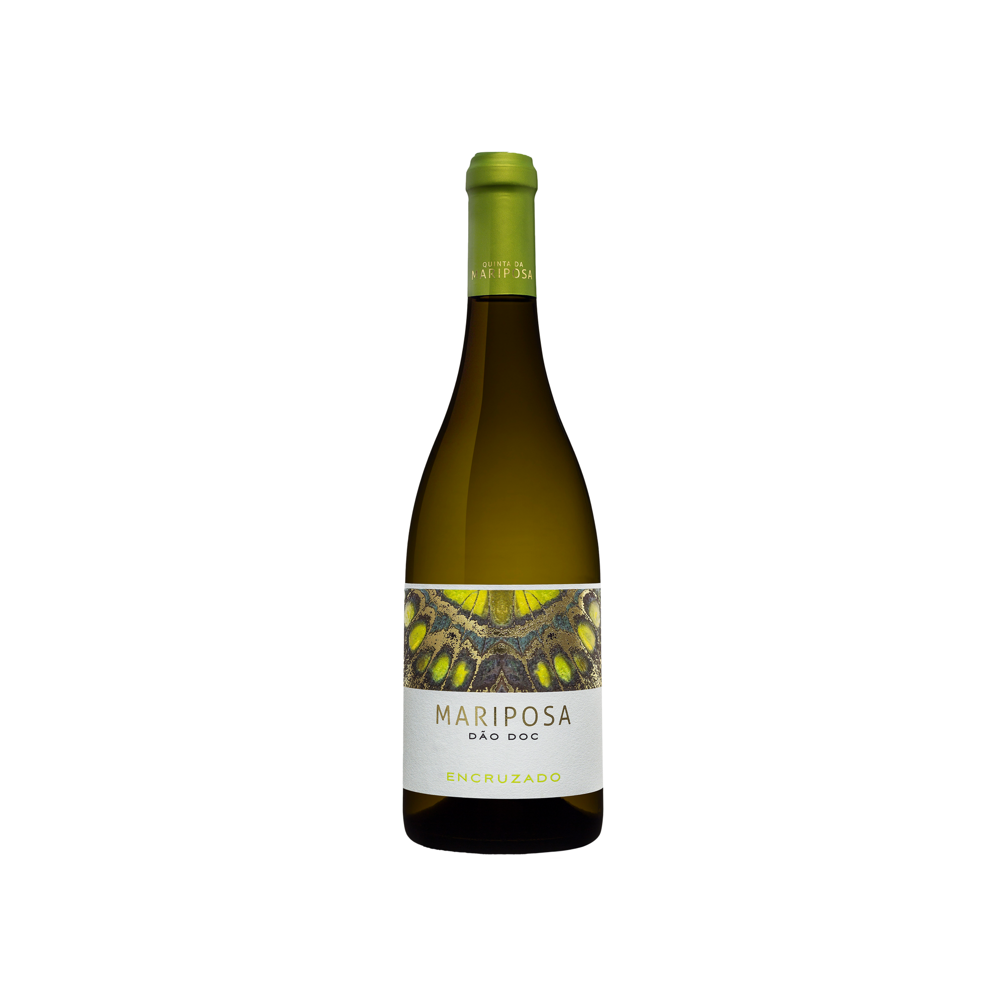 Mariposa Encruzado Magnum, Doc Dão