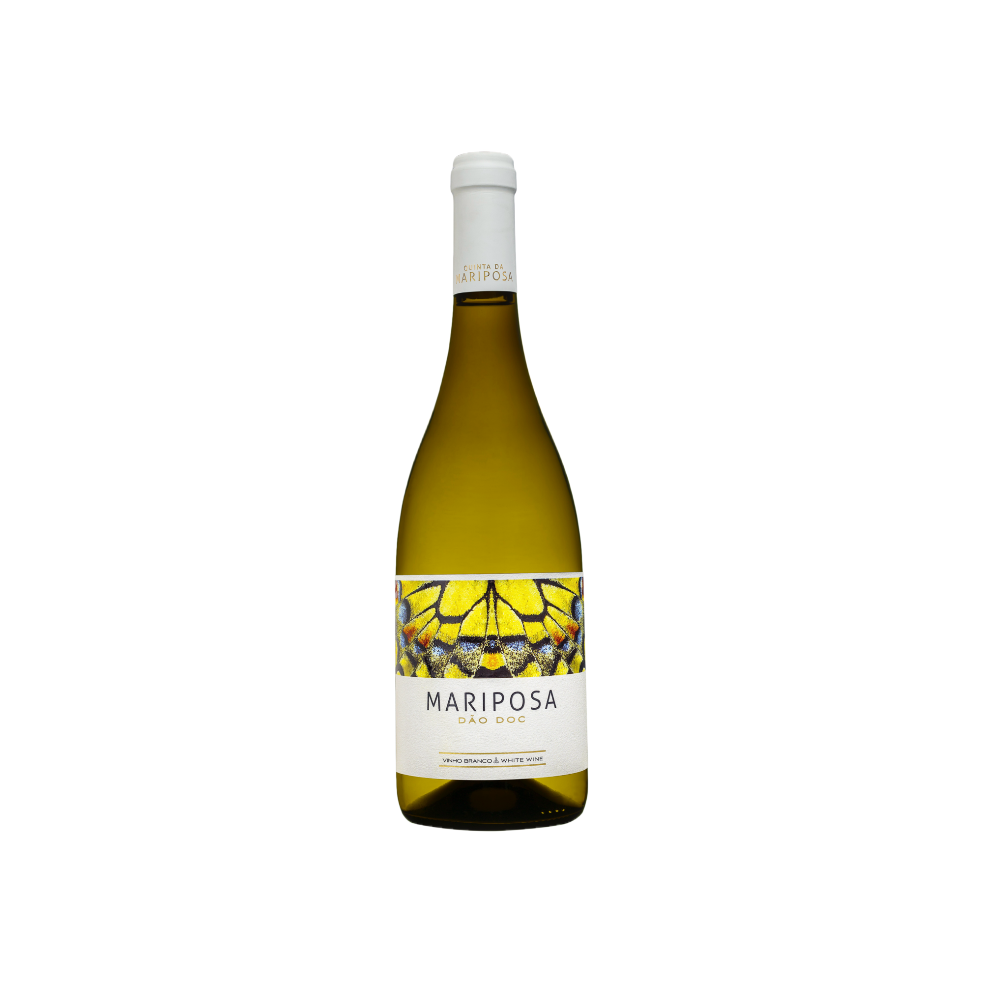 Mariposa White, Doc Dão