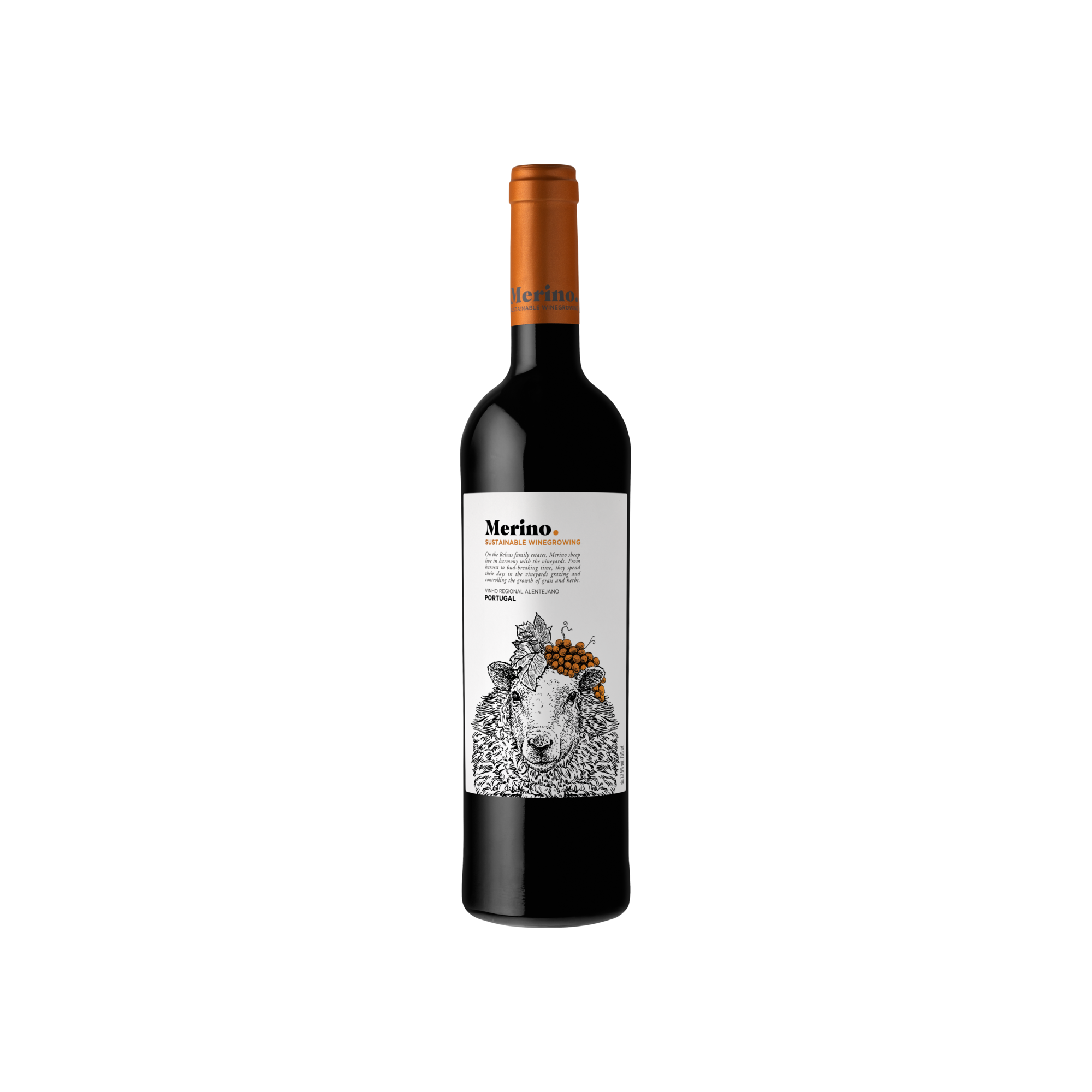 Merino, Vinho Regional