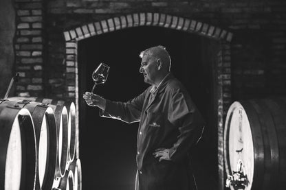 Vinakoper Capris Merlot